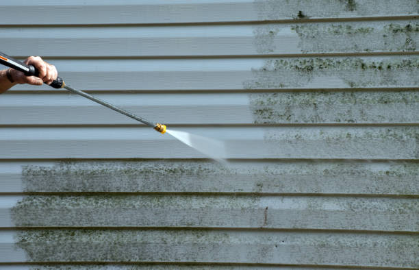 Best Roof Pressure Washing  in Scottsville, NY