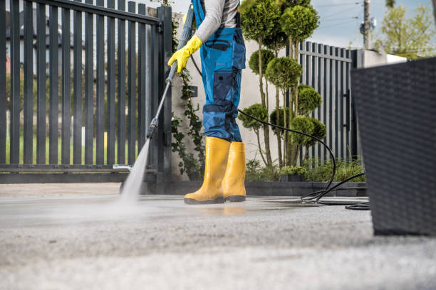 Best Pressure Washing Company Near Me  in Scottsville, NY