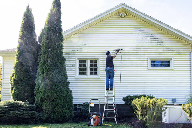 Best Pressure Washing Siding  in Scottsville, NY