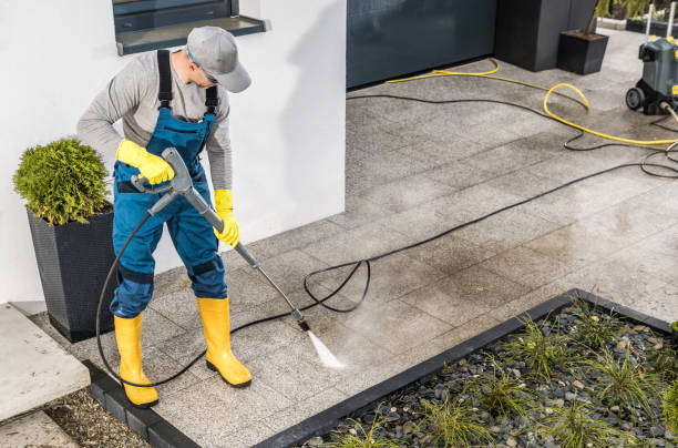 Best Exterior Home Cleaning  in Scottsville, NY