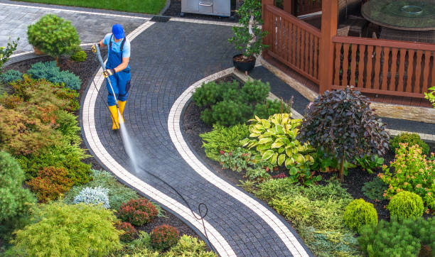 Best Affordable Power Washing  in Scottsville, NY